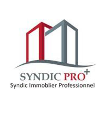 Syndic Professionnel